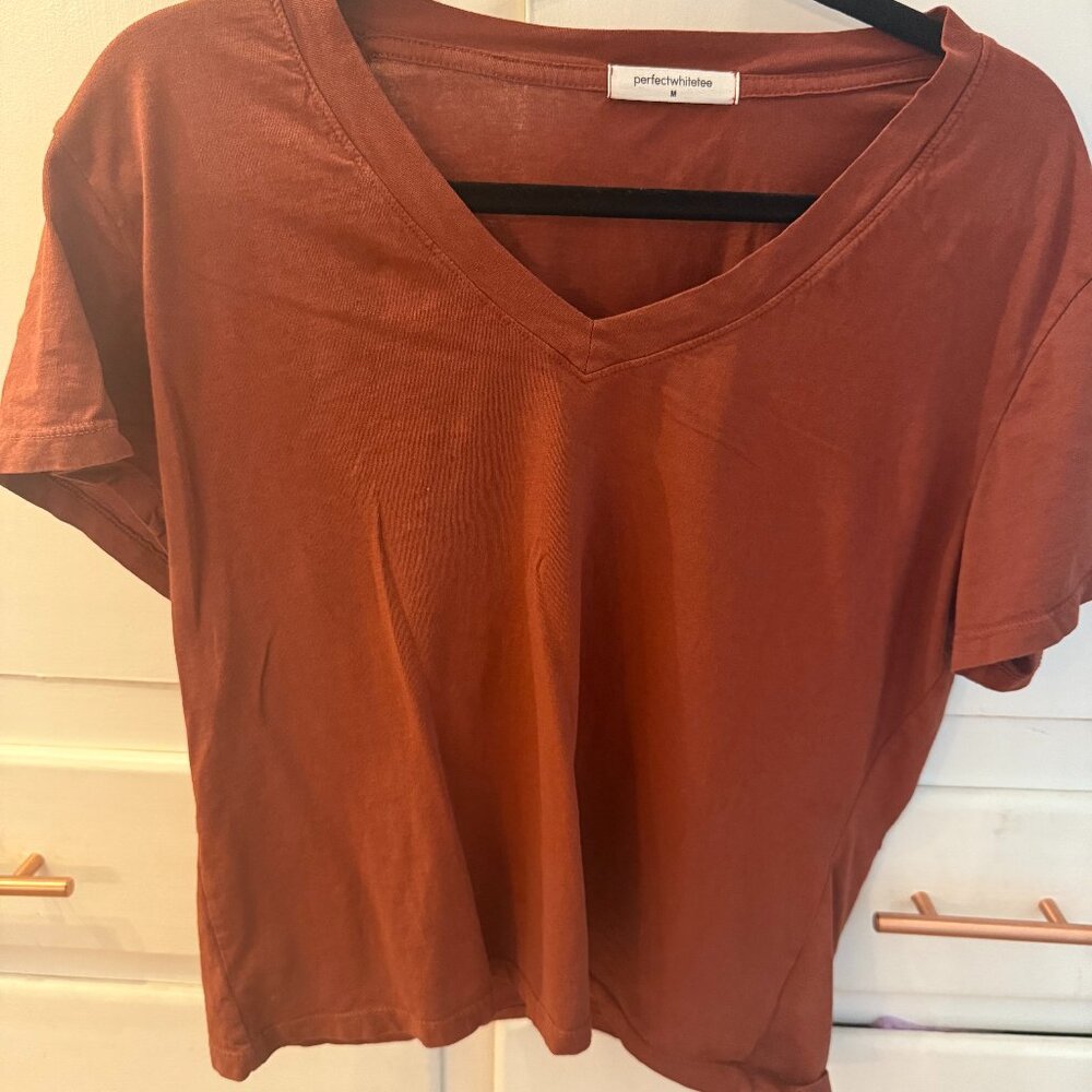 PerfectWhiteTee Hendrix V Neck Tee in Rust Medium M
